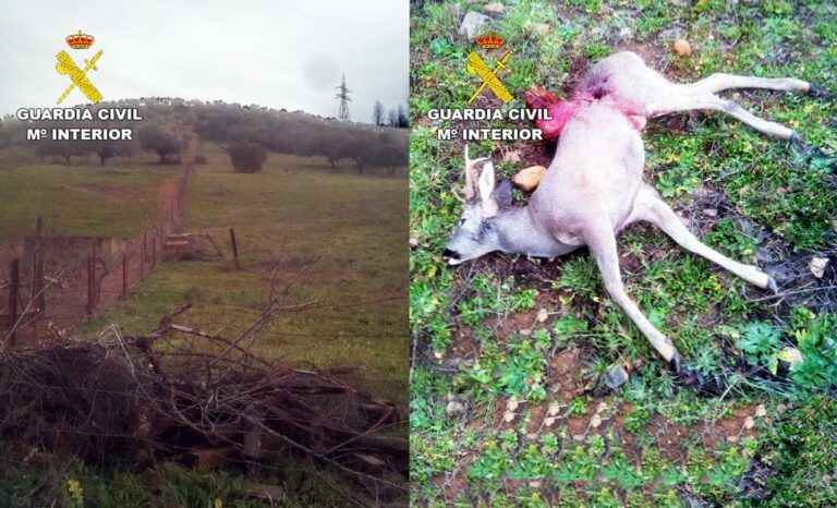 Detenido un cazador furtivo en Puebla de Don Rodrigo