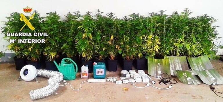 La Guardia Civil detiene a cuatro personas e imputa a otra más, por robos en domicilios y cultivo de droga