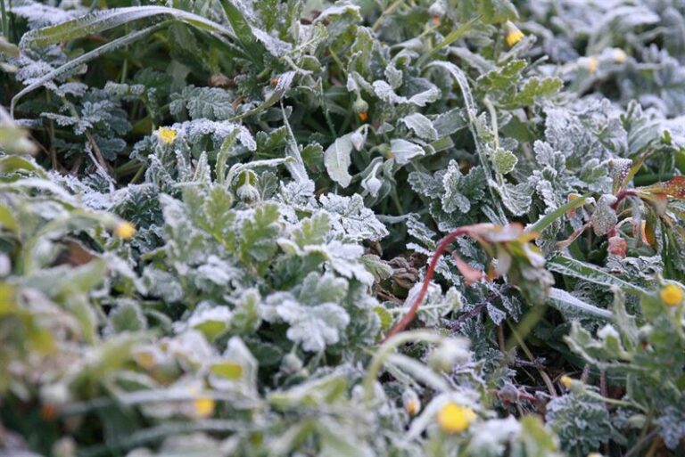 Bajada brusca de la temperatura de hasta 10ºC