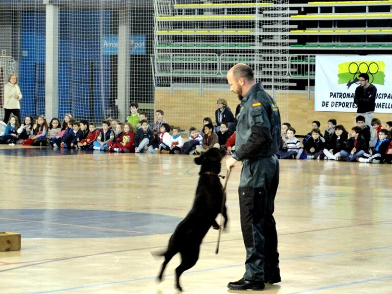 La Guardia Civil realiza una espectacular demostración a los escolares