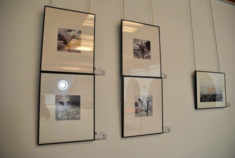 Abiertas al público las exposiciones de los certámenes artísticos “Ciudad de Tomelloso”