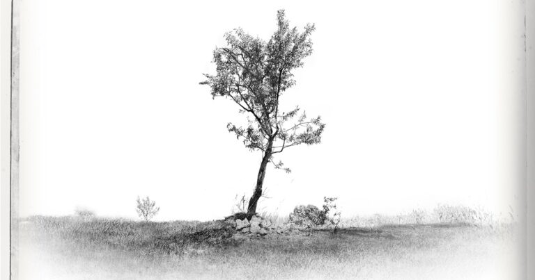 Fallado el XV Certamen de Fotografía “Ciudad de Tomelloso”