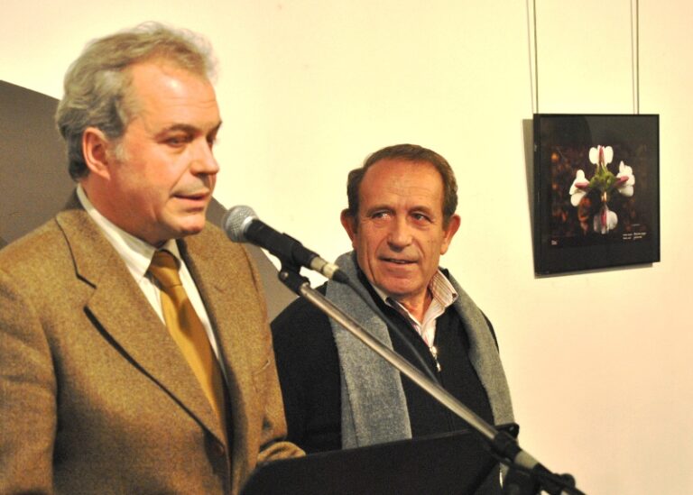 La luz y el color de las flores silvestres de la comarca de Tomelloso inundan la Posada de los Portales