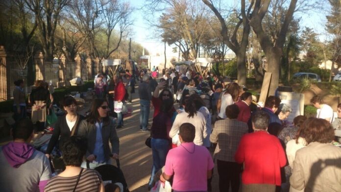 foto rastrillo afas tomelloso