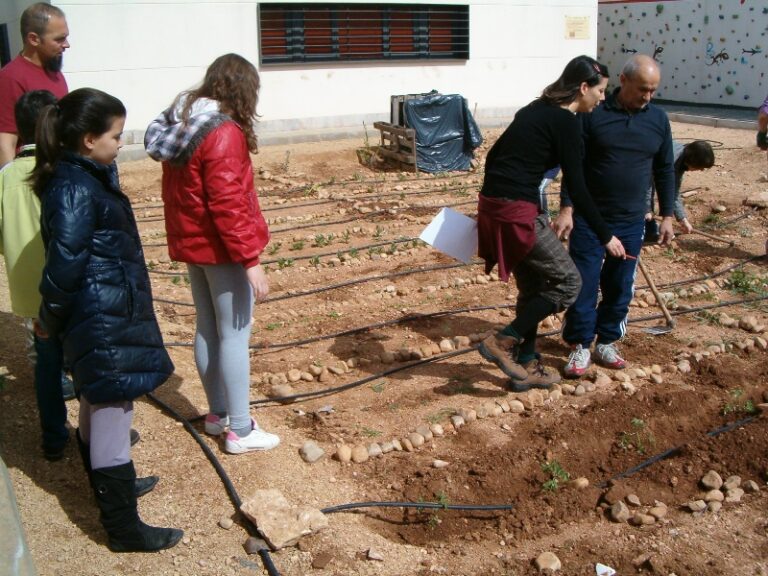 El Centro Joven crea un huerto urbano