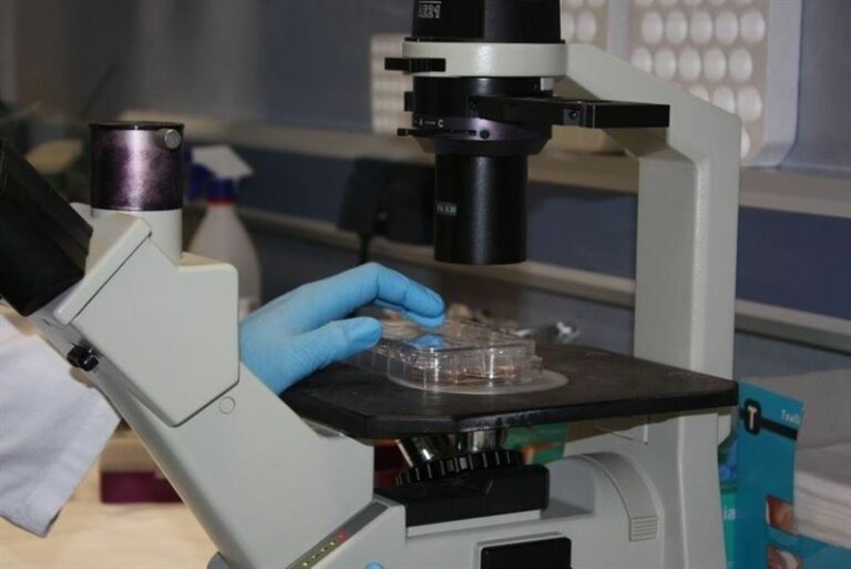 C-LM, entre las regiones que menos decica I+D