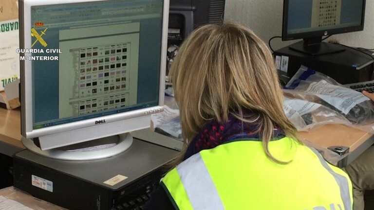 17 detenidos y 12 imputados por distribuir imágenes de contenido pedófilo en Internet