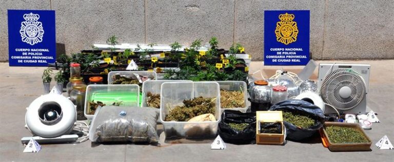 Desmantelan en Ciudad Real un laboratorio de cultivo de marihuana