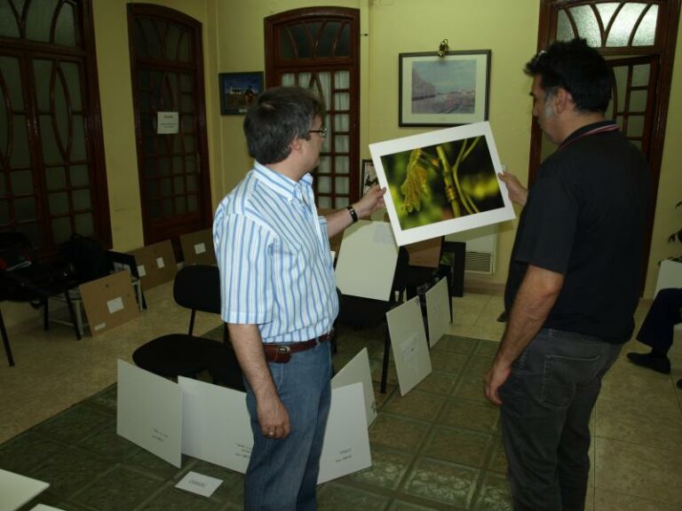 ASAJA Tomelloso convoca el XVII Concurso Fotográfico Regional de la Viña y el Vino