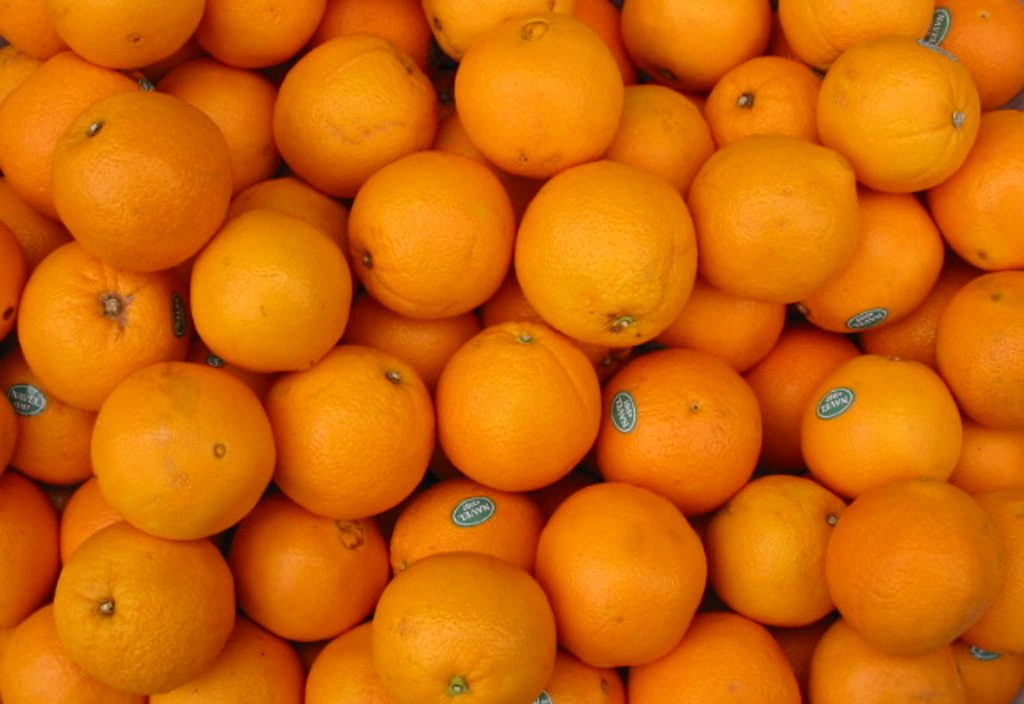 La naranja es fruta de invierno, por F. Navarro