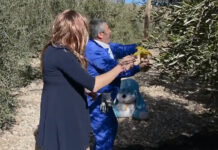 Se hace viral la parodia manchega del anuncio de la Lotería de Navidad Top 10 de noticias más leídas en nuestro sexto año