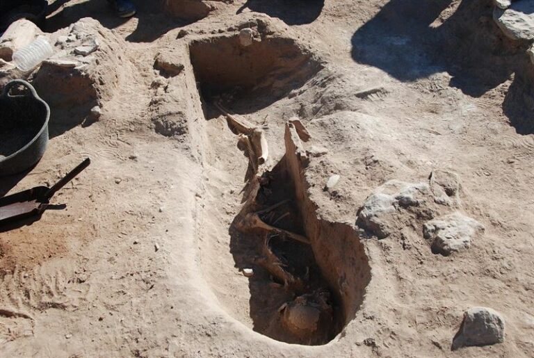 Descubren en Alcázar una necrópolis islámica de más de mil años de antigüedad