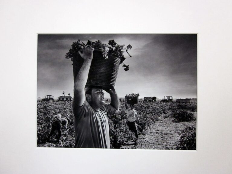 José Ramón Luna obtiene el primer premio del XVIII Concurso Fotográfico Regional de la Viña y el Vino de Asaja Tomelloso