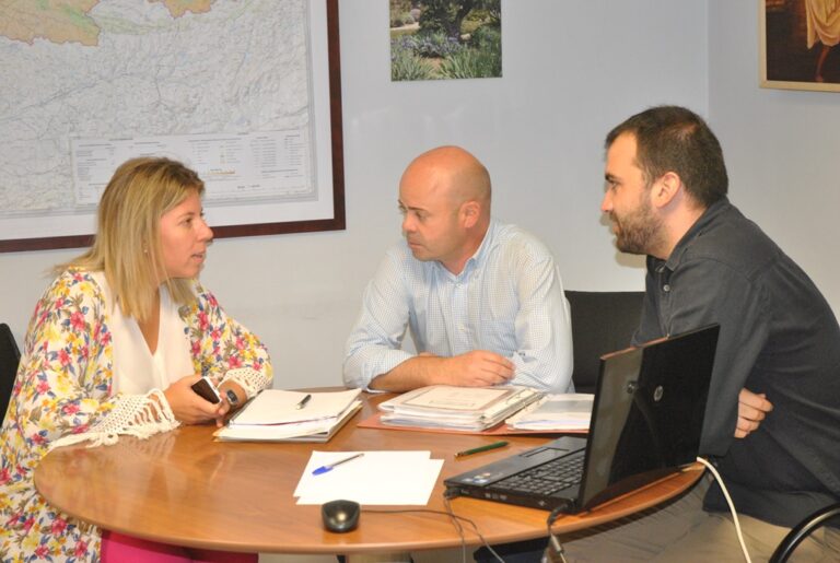 A estudio un proyecto de reforestación de la Vereda en Tomelloso