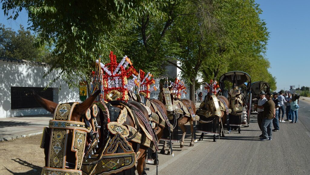 Reata de mulas en Tomelloso