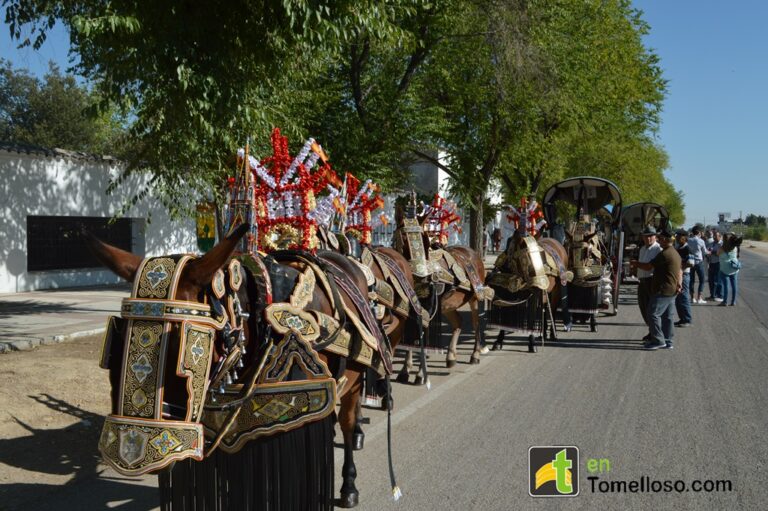 Las reatas, carros y mulas toman las calles de Tomelloso