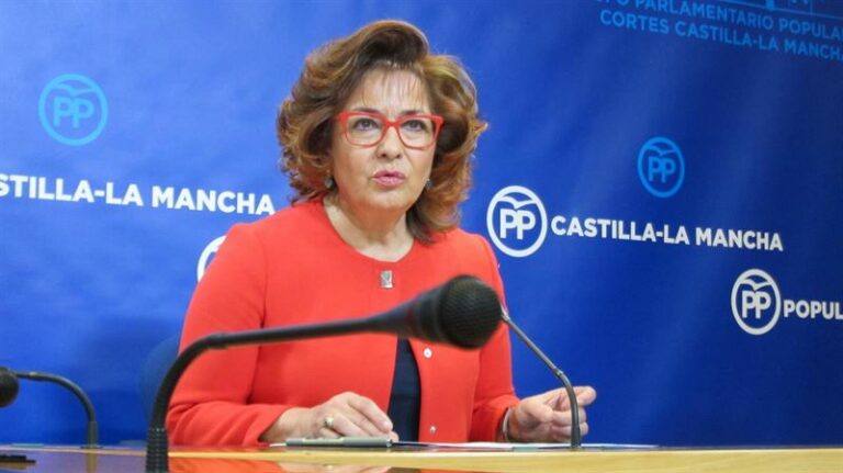 PP pide a Page que ponga en marcha un plan de choque contra la gripe