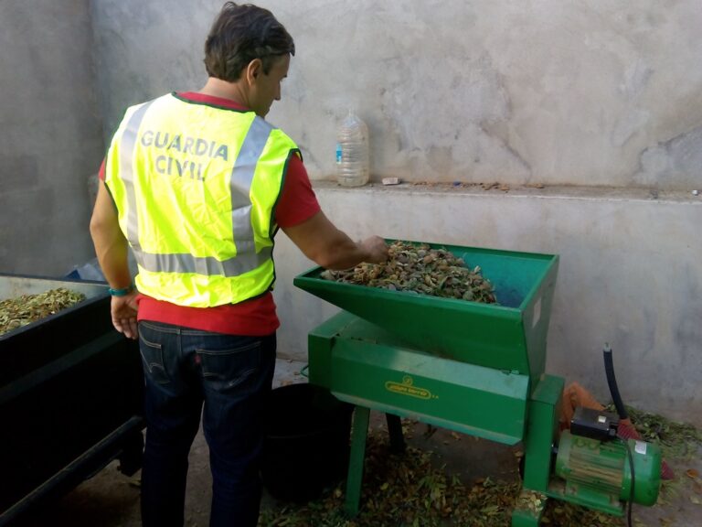 La Guardia Civil imputa a dieciséis personas por hurto de almendras