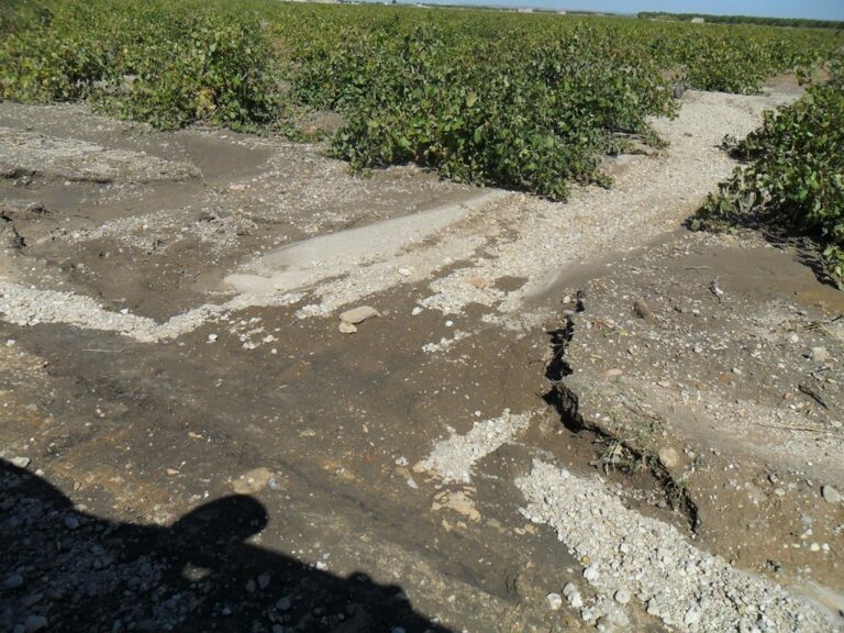 La tormenta del lunes causa importantes daños en el término municipal de Tomelloso