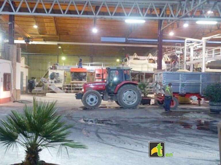 Vendimia en Tomelloso: S. A. T.  Bodega San José