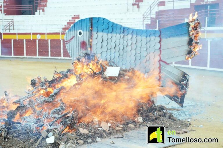 Tomelloso cierra el Carnaval 2015 con el entierro solidario de la sardina