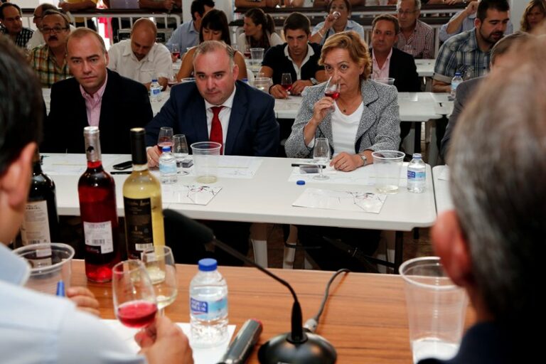 Soriano anuncia que los fondos para reestructuración de viñedo ascenderán a 100 millones de euros esta campaña en Castilla-La Mancha