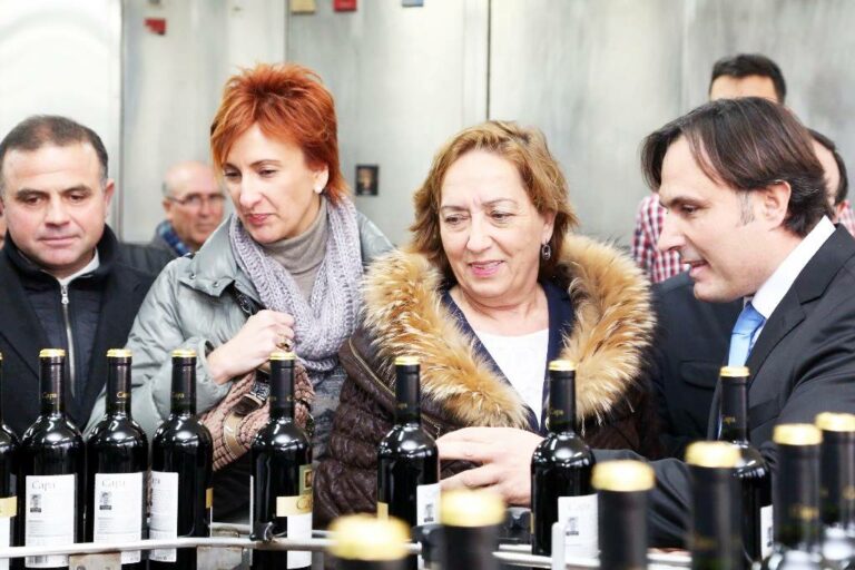 Soriano anuncia que el programa de reestructuración de viñedo se amplía hasta 2017