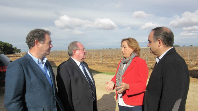 soriano villarrobledo cebolla