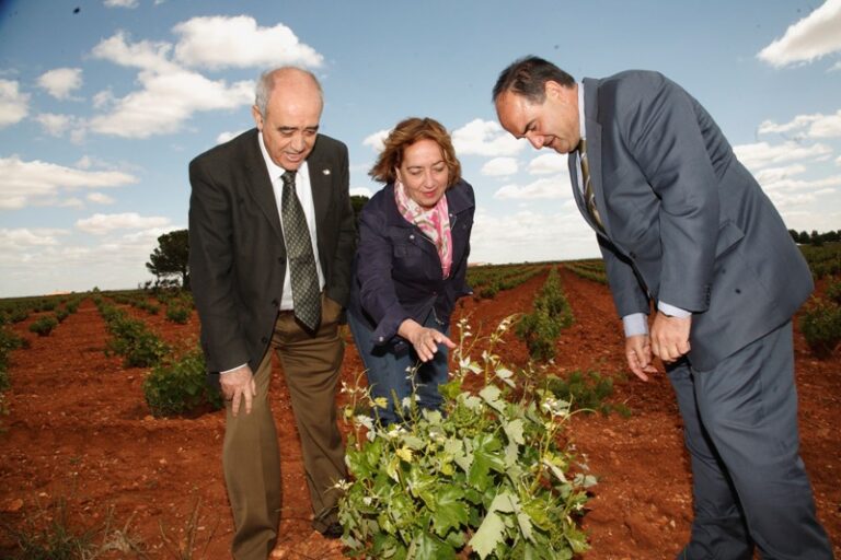 Soriano anuncia un pago de 7,7 millones para la reestructuración de 1.300 hectáreas de viñedo