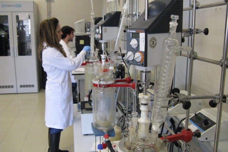 La ingeniería química, la ingeniería civil y las ciencias agrícolas de la UCLM, entre las mejores del mundo