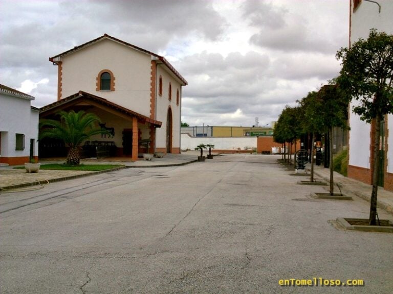 La Copa del Mundo de 2010 y las Eurocopas de 2008 y 2012 de fútbol, en Tomelloso