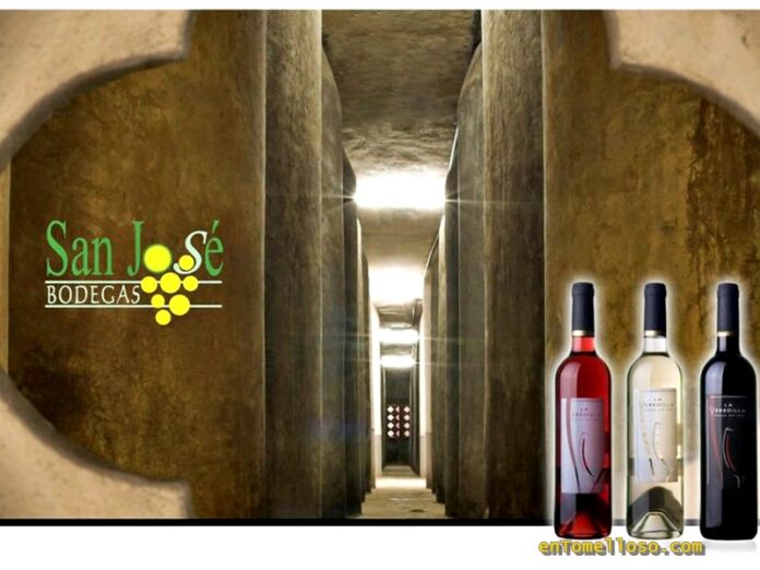 visita-san-jose-tomelloso-9