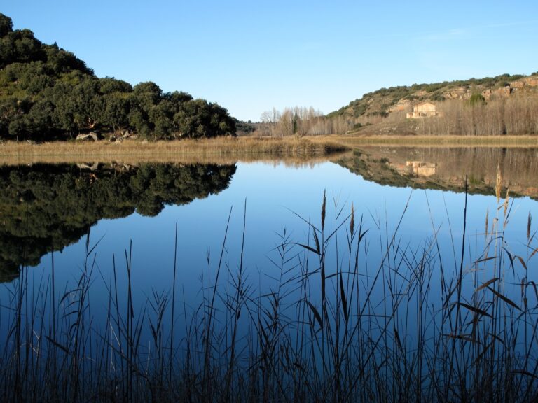 Día Mundial del Medio Ambiente y ecoturismo en Castilla-La Mancha