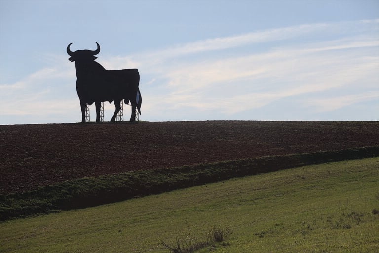 14 toros de Osborne habitan en las carreteras de Castilla-La Mancha