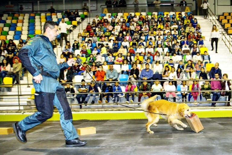 Los más pequeños protagonistas de la primera jornada de FERCATUR 2018