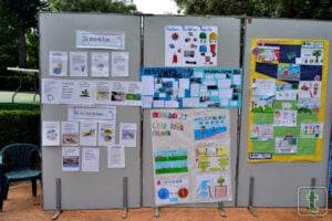 Los escolares celebran con diversas actividades el Día Mundial del Medio Ambiente