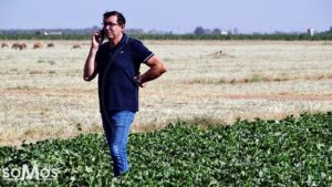 Arranca la campaña del melón en La Mancha