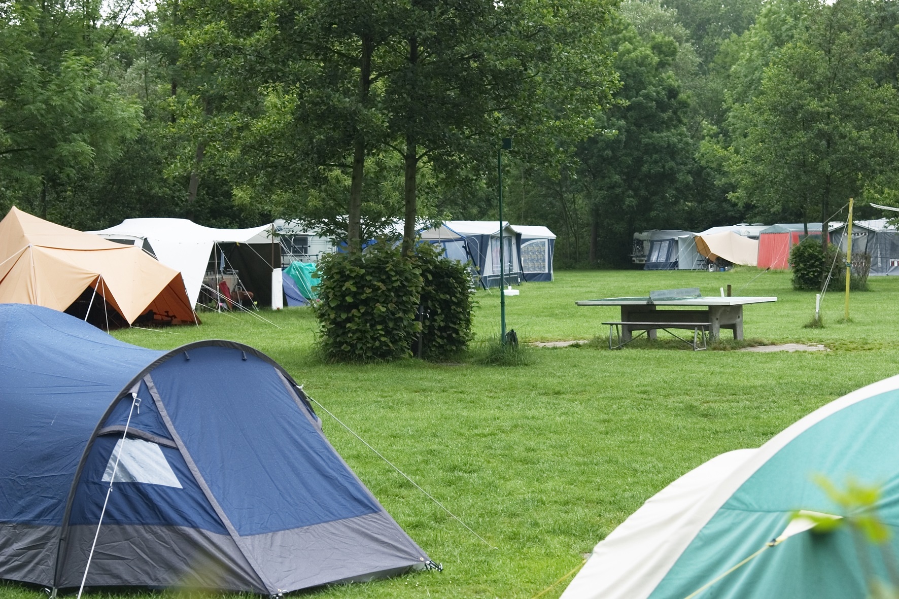 entusiasta Desplazamiento fecha límite 🟥 Más del 80% de los campings de C-LM, ocupados durante agosto
