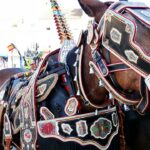 Gran tarde de toros con la plaza a rebosar