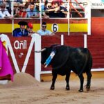 Gran tarde de toros con la plaza a rebosar