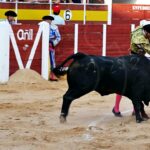 Gran tarde de toros con la plaza a rebosar