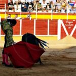 Gran tarde de toros con la plaza a rebosar