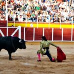 Gran tarde de toros con la plaza a rebosar