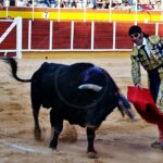 Gran tarde de toros con la plaza a rebosar