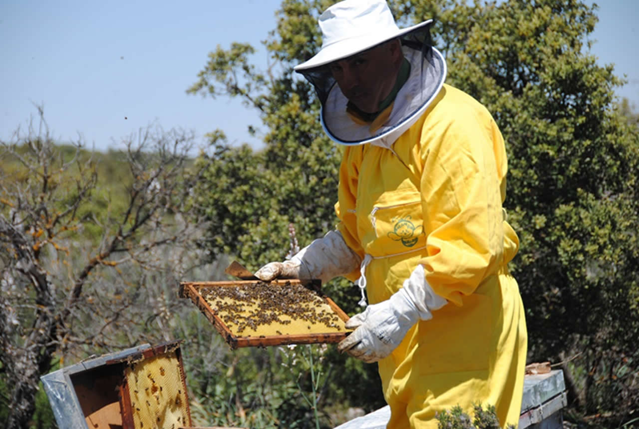 Víctor M. Ferrandis, el apicultor de Tomelloso “que susurra a las abejas”