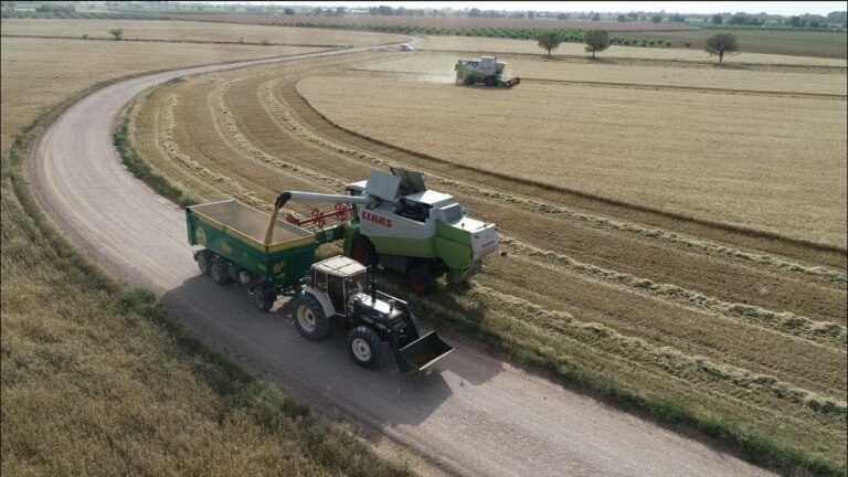 La siega en La Mancha a vista de dron