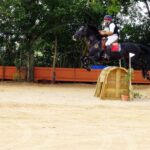 Cerca de 100 caballos de toda España, reunidos en Tomelloso en un Concurso de Yeguada Los Arcangeles
