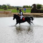 Cerca de 100 caballos de toda España, reunidos en Tomelloso en un Concurso de Yeguada Los Arcangeles