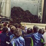 Los alumnos del Santo Tomás-La Milagrosa conocen la vendimia en Vinícola de Tomelloso