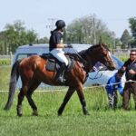 Unos 135 caballos se reúnen en Argamasilla en el Concurso Internacional Hípico Copa Verum